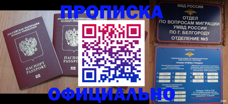 найти адрес прописки в Черняховске